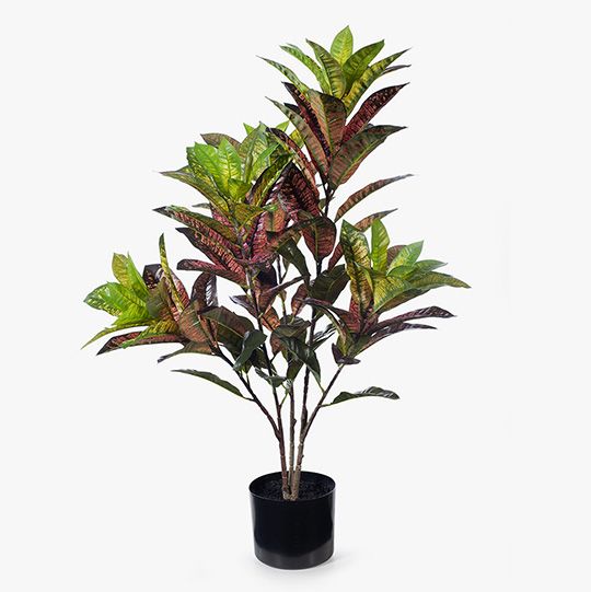 2 x Croton Plant, Green Red 88cmh (FI8188GRD)