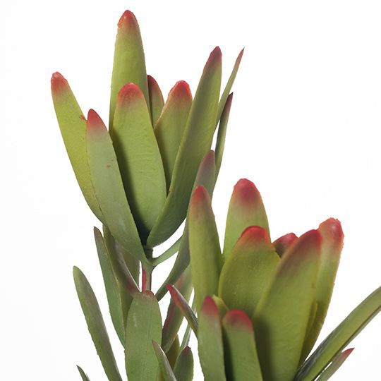 12 x Protea Leucadendron Spray Green 82cml (FI8228GR)