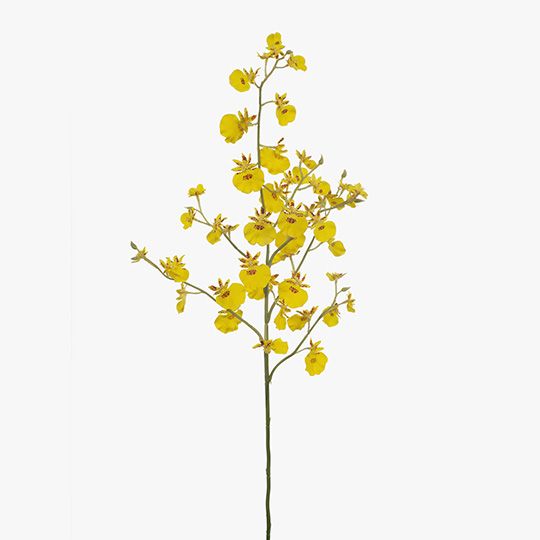 12 x Orchid Dancing Yellow 73cml (FI8279YE)