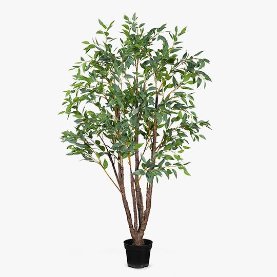 Eucalyptus Seed Tree, Green 210cmh (FI8283GR)