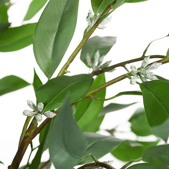 Eucalyptus Seed Tree, Green 210cmh (FI8283GR)