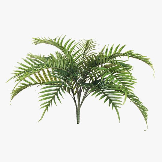 12 x Palm Areca Bush Green 70cml (FI8287GR)