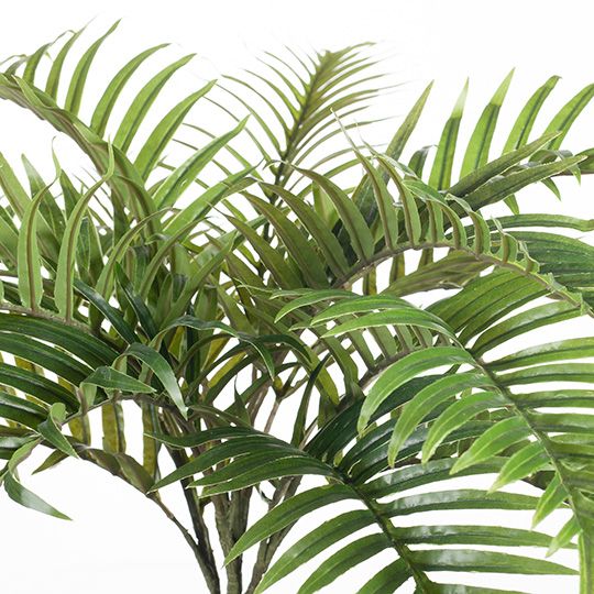 12 x Palm Areca Bush Green 70cml (FI8287GR)