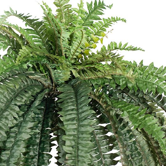 2 x Fern Boston Hanging Bush Green 147cml (FI8291GR)