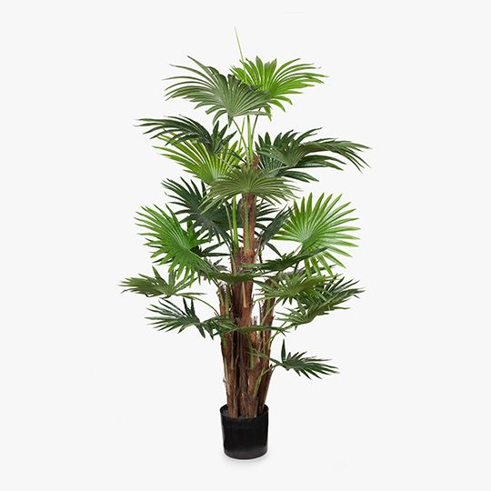 2 x Palm Fan Plant, Green 168cmh (FI8308GR)