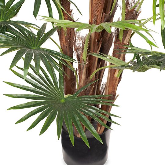 2 x Palm Fan Plant, Green 168cmh (FI8308GR)