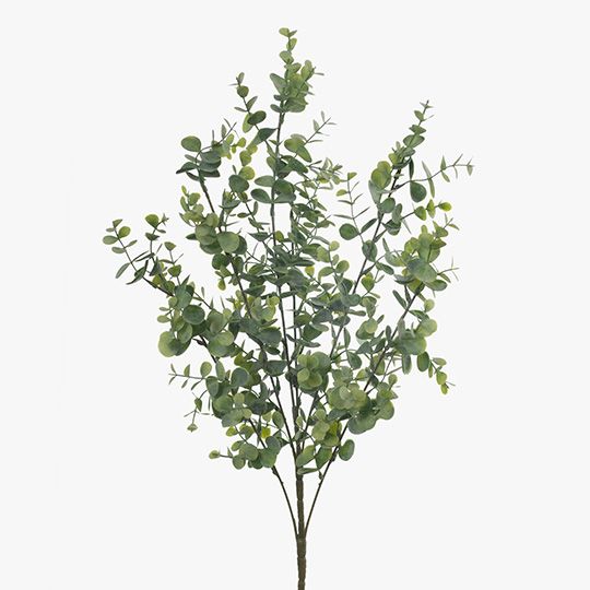 12 x Eucalyptus Bush Green Grey 60cml (FI8316GR)