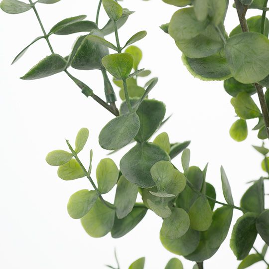 12 x Eucalyptus Bush Green Grey 60cml (FI8316GR)