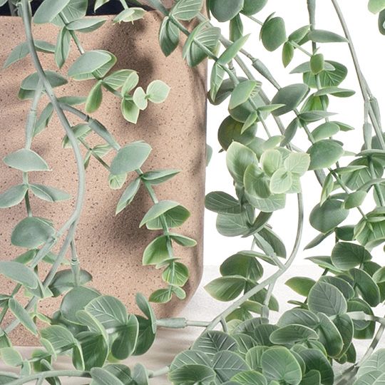 6 x Eucalyptus Hanging Bush in Pot, Grey Green 73cml (FI8342GY)