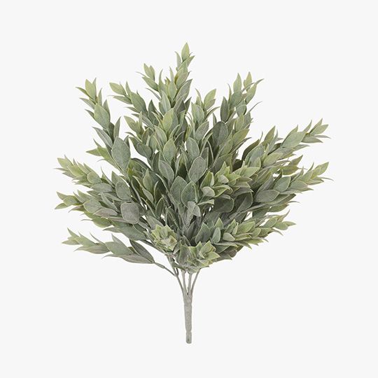 12 x Ruscus Bush Grey Green 38cml (FI6674GY)