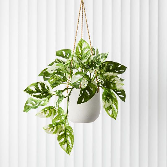 2 x Pot Flo Hanging White (FI8436WH)