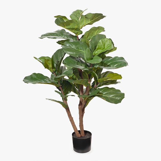 2 x Fiddle Leaf Tree, Green 120cmh (FI8480GR)