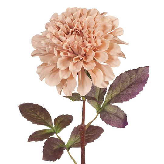 12 x Dahlia Dusty Pink 57cml (FI8063DP)