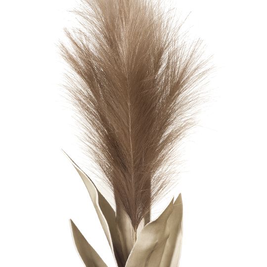 12 x Pampas Grass w/Leaf Brown 113cml (FI8395BR)