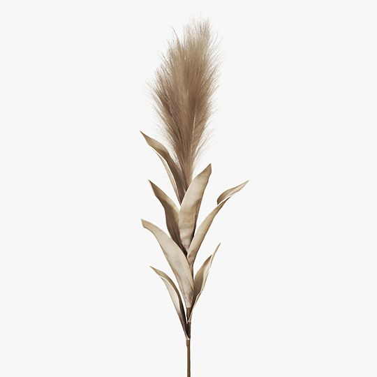 12 x Pampas Grass w/Leaf Coffee 113cml (FI8395CF)