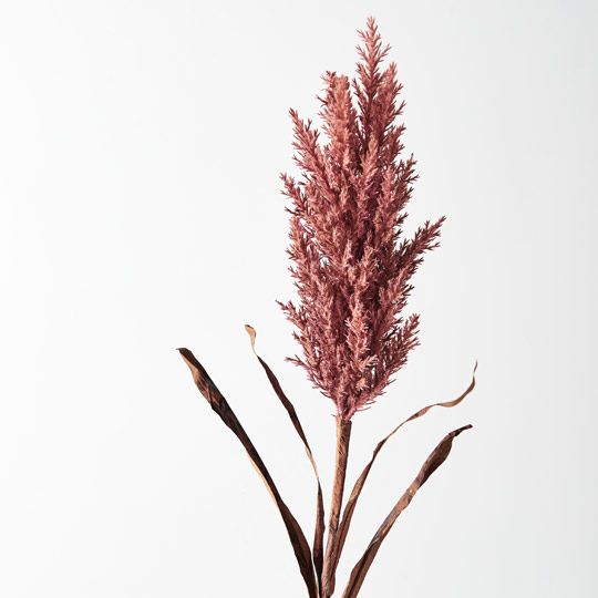 12 x Plume Grass w/leaf Dusty Pink 83cml (FI8642DP)