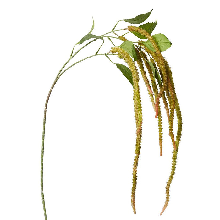 Amaranthus Spray Pack of 12 - Green/Pink, 134cm (H)