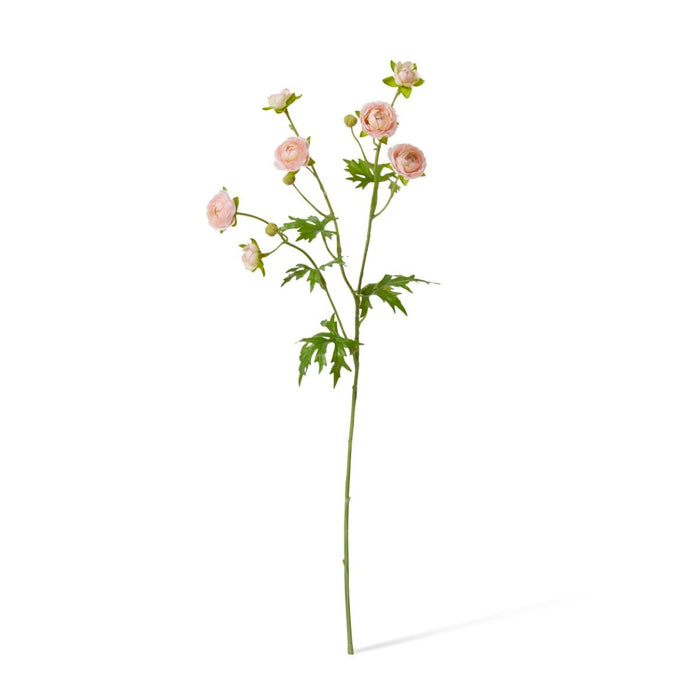 Ranunculus Spray Pack of 12 - Soft Pink, 56cm (H)