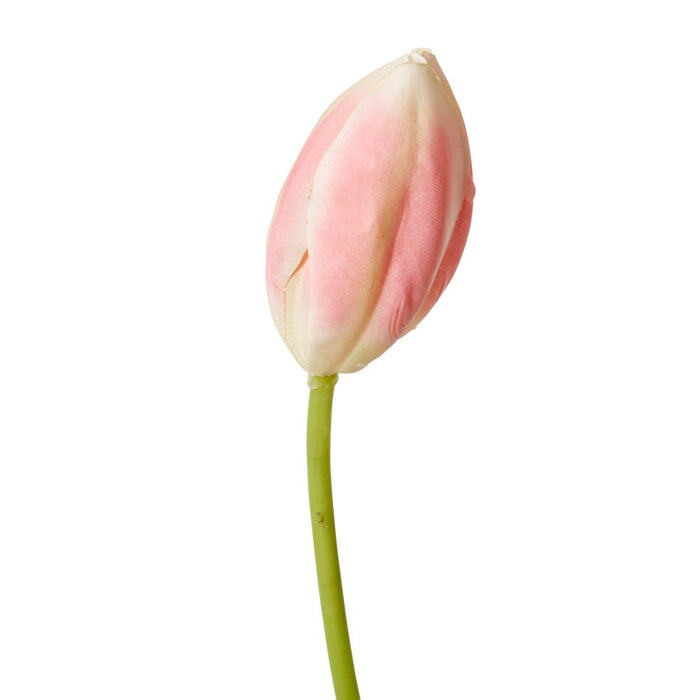 Tulip Stem Pack of 12 - Pink, 74cm (H)
