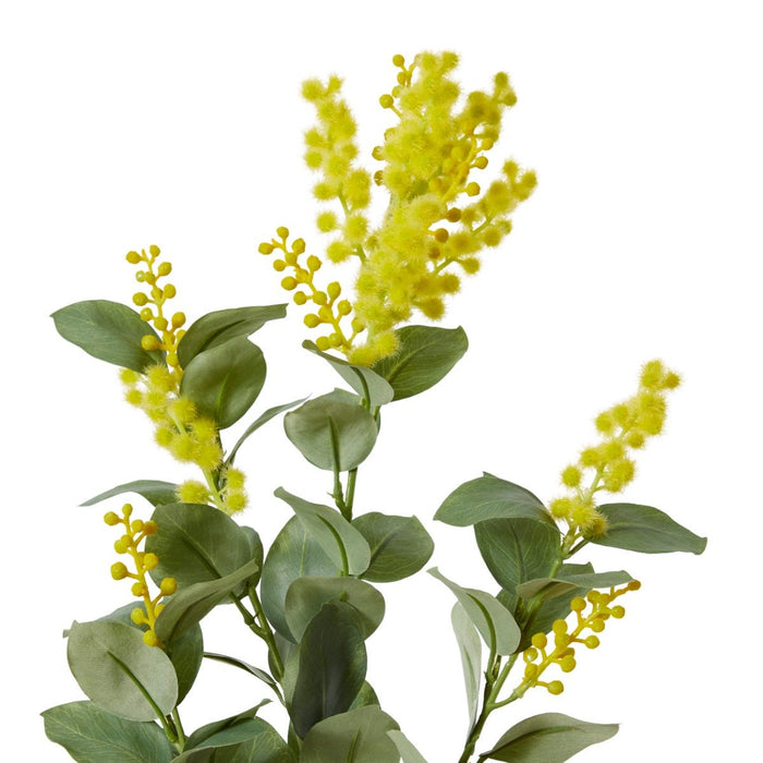 Wattle Spray Pack of 12 - Yellow, 85cm (H)