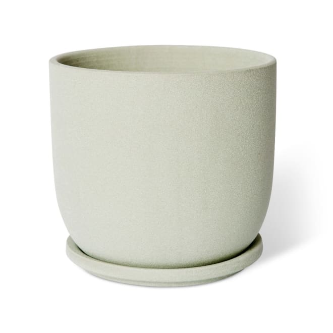 Allegra Pot w Saucer - Green, 18cm (H)