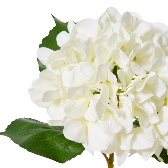 Hydrangea Classic Small Stem Pack of 12 - White, 61cm (H)