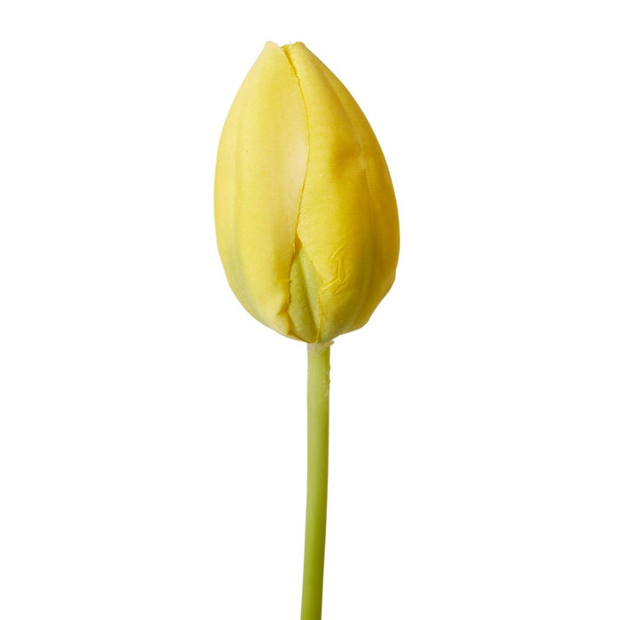 Tulip Stem Pack of 12 - Yellow, 74cm (H)