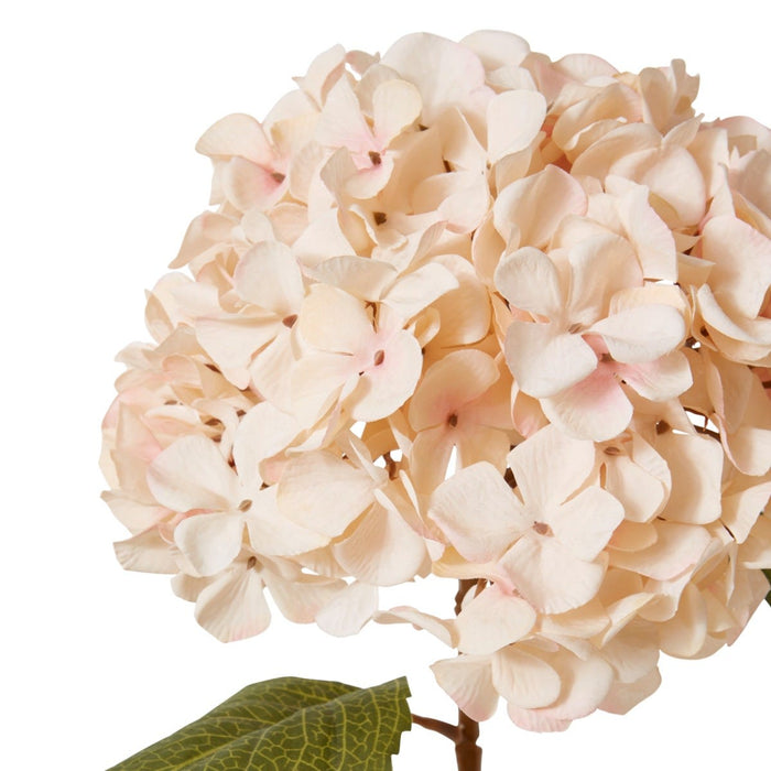 Hydrangea Decor Stem Pack of 12 - Nude Pink, 66cm (H)