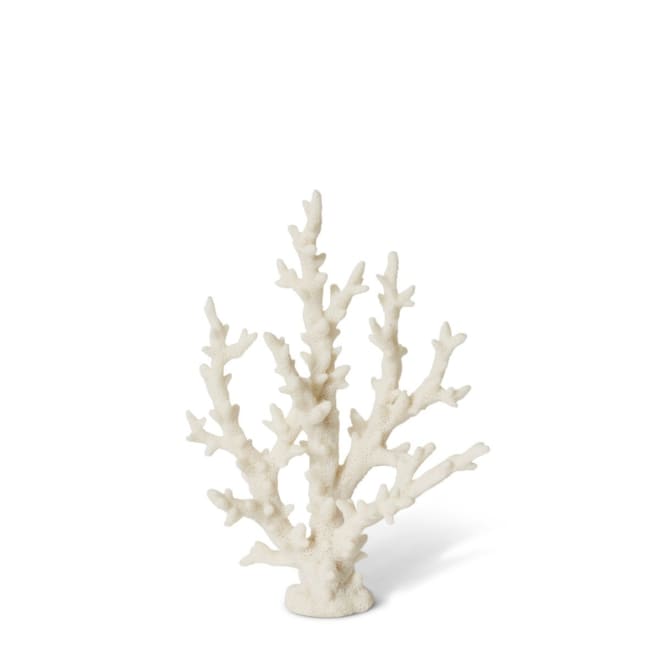 Coral Finger Sculpture - White, 27cm (H)