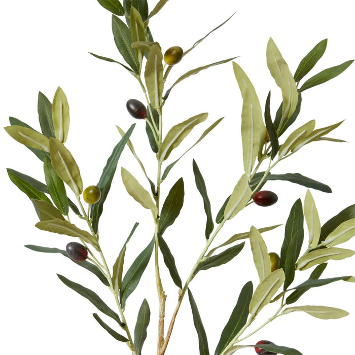 Olive Spray Pack of 12 - Grey Green, 97cm (H)