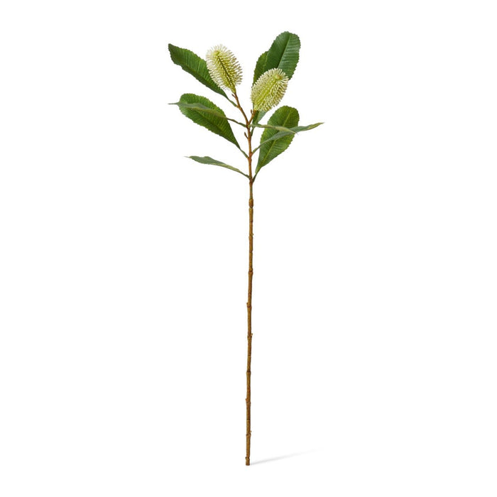 Banksia Spray Pack of 12 - White, 76cm (H)