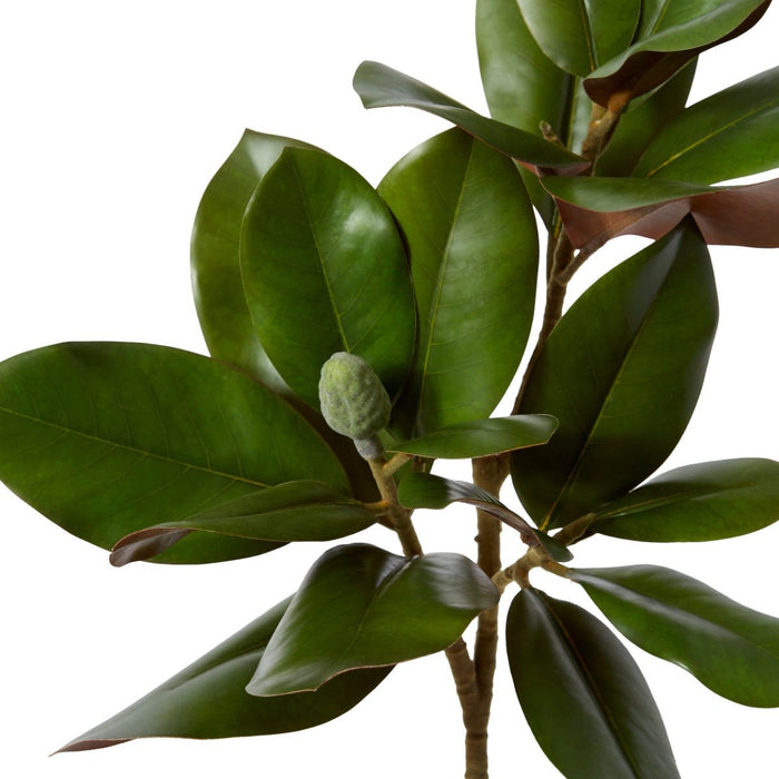 Magnolia Grand Leaves Branch Pack Of 6 - Green, 82cm (H)