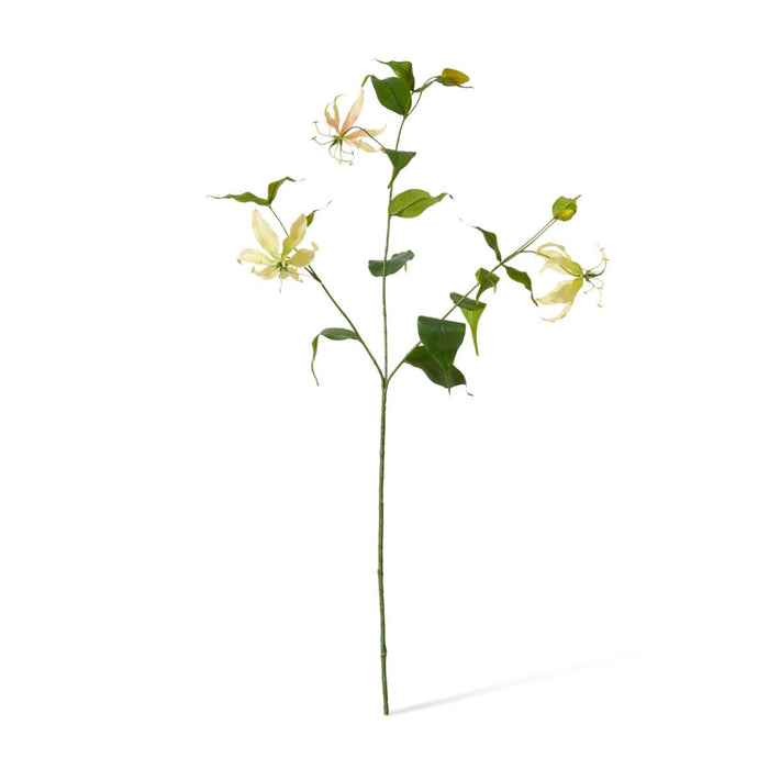 Gloriosa Spray Pack of 12 - Yellow Green, 90cm (H)