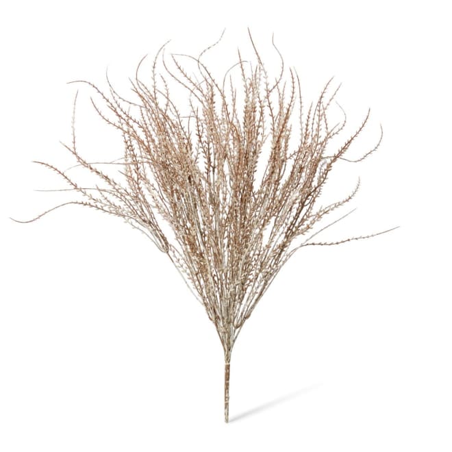 Wheat Grass Bush Pack Of 12 - Natural, 60cm (H)
