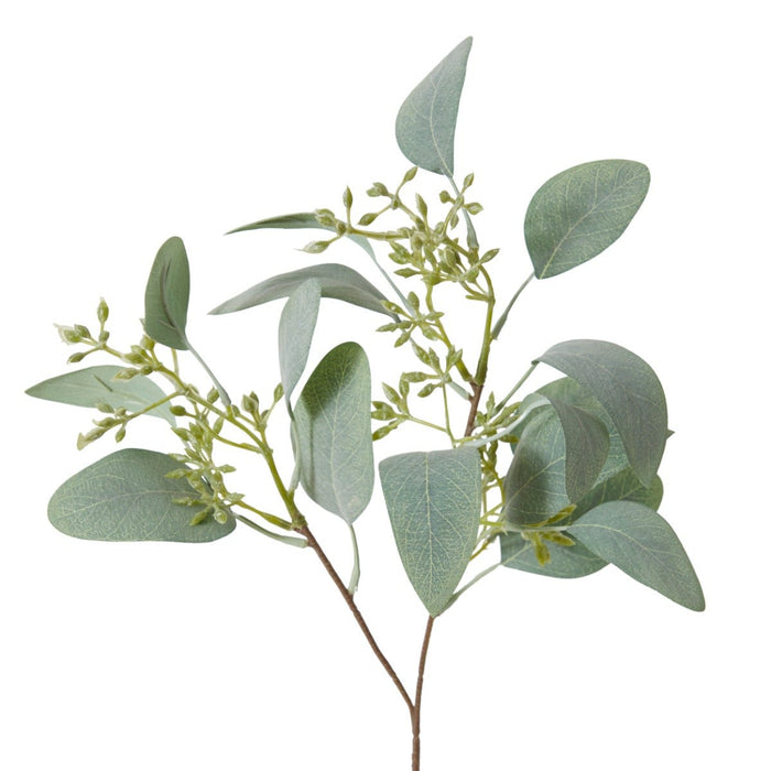 Eucalyptus Seeding Spray Pack of 24 - Grey Green, 48cm (H)