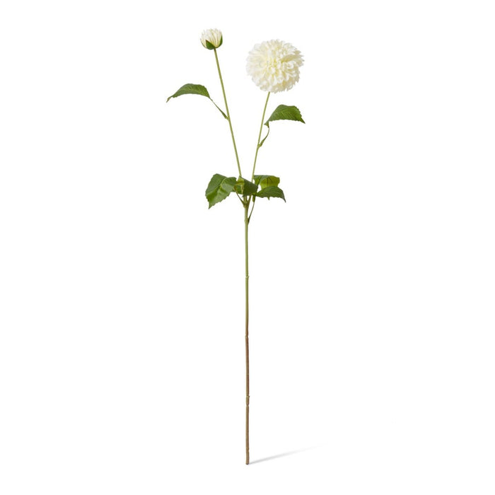 Dahlia Pom Pom Spray Pack of 12 - White, 72cm (H)