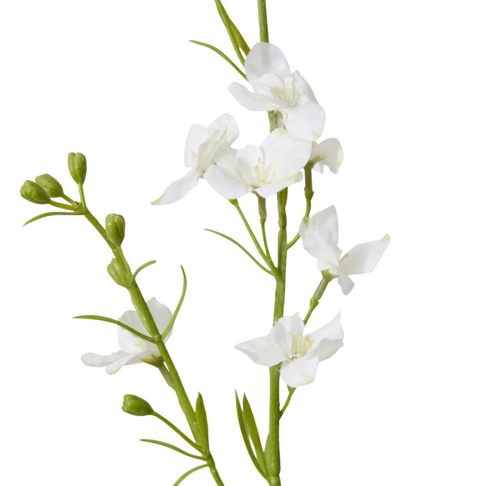 Larkspur Spray Pack of 12 - White, 71cm (H)