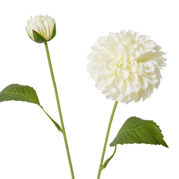 Dahlia Pom Pom Spray Pack of 12 - White, 72cm (H)