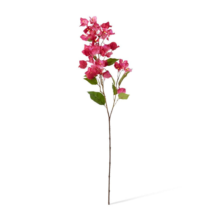 Bougainvillea Spray Pack of 12 - Hot Pink, 86cm (H)