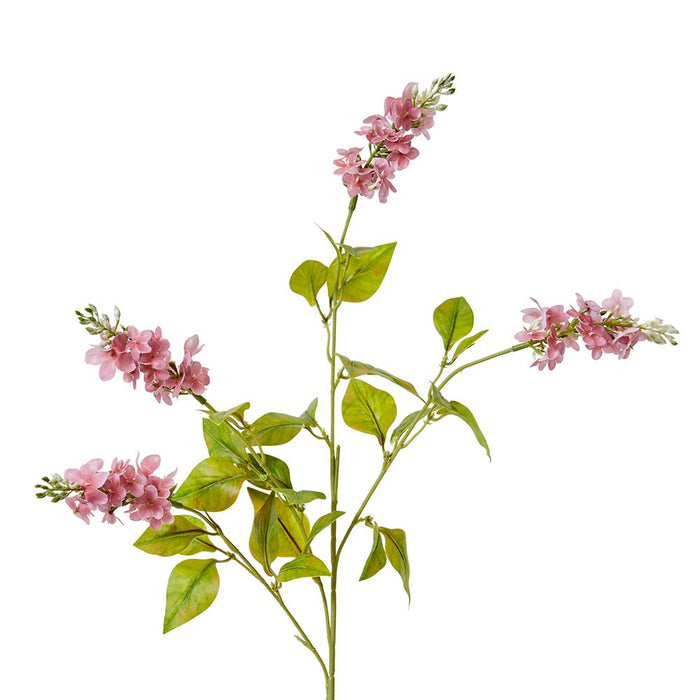 Larkspur Spray Pack of 12 - Pink, 62cm (H)