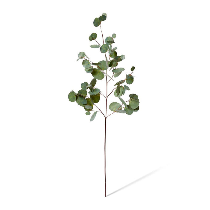 Eucalyptus Silver Dollar Spray Pack of 12 - Green, 99cm (H)