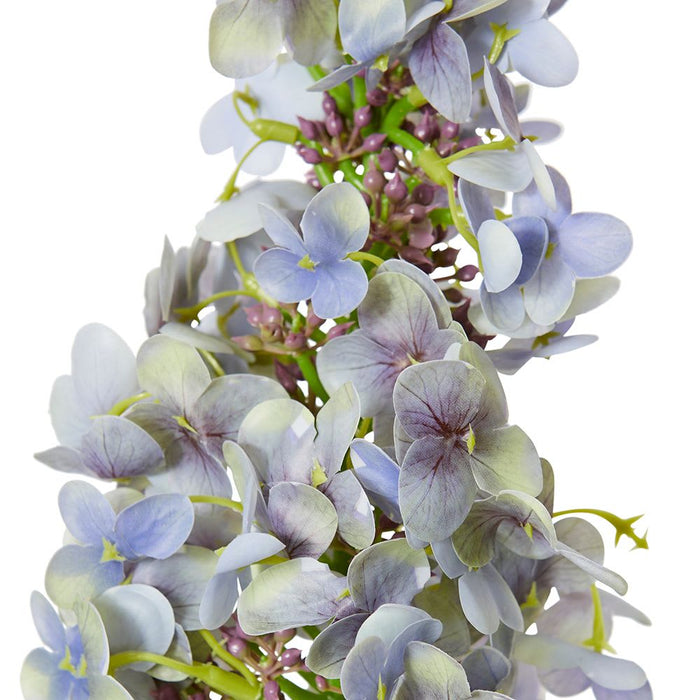 Cone Hydrangea (RT) Pack of 12 - Purple, 75cm (H)