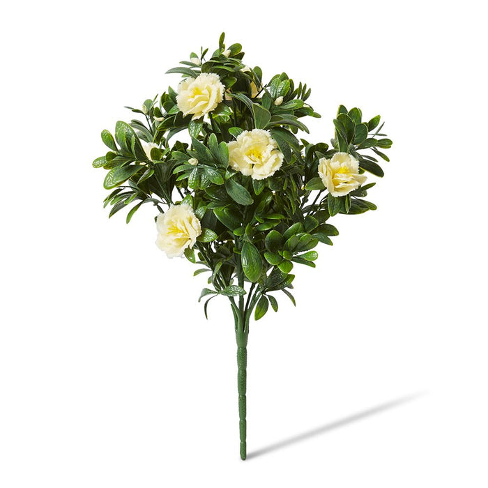 Begonia (Outdoor) Bush Pack of 10 - White, 47cm (H)