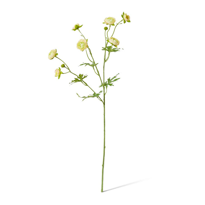 Ranunculus Spray Pack of 12 - Yellow, 56cm (H)