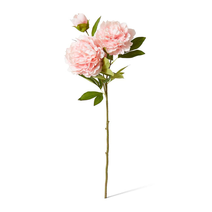 Peony Queen Spray Pack of 12 - Blush Pink, 76cm (H)