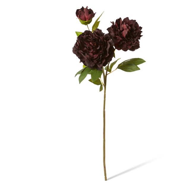 Peony Queen Spray Pack Of 12 - Burgundy, 76cm (H)