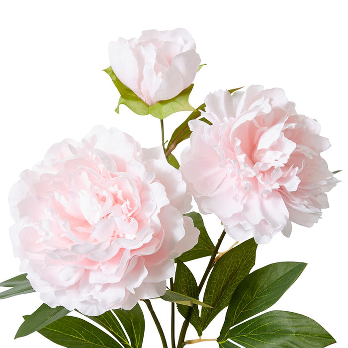 Peony Queen Spray Pack of 12 - Soft Pink, 76cm (H)