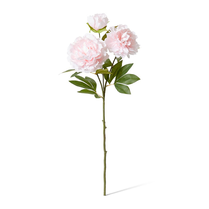 Peony Queen Spray Pack of 12 - Soft Pink, 76cm (H)