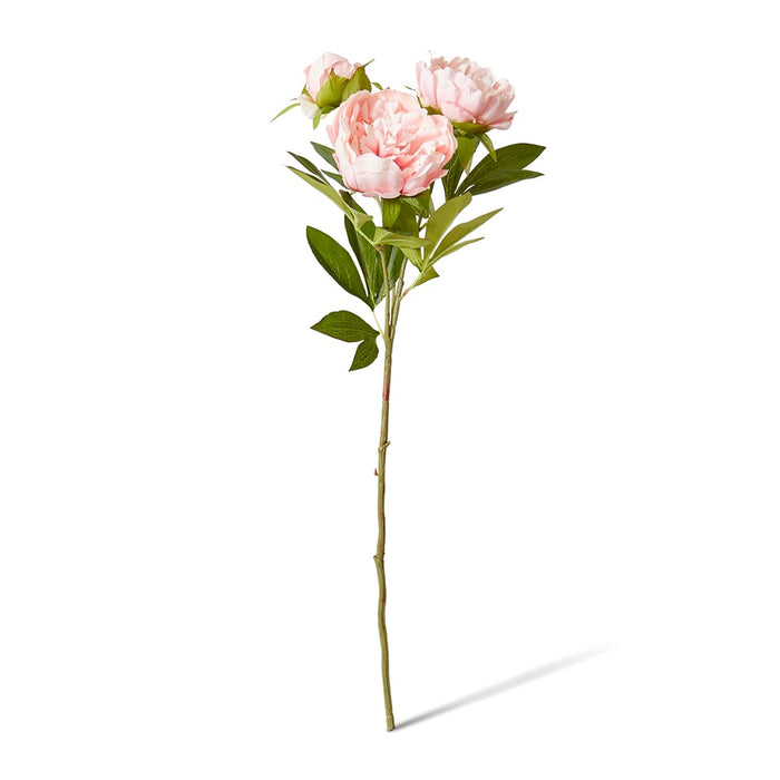 Classic Peony Spray Pack of 12 - Blush Pink, 75cm (H)