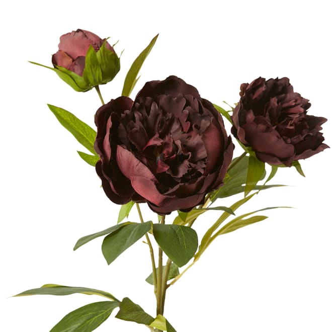 Classic Peony Spray Pack Of 12 - Burgundy, 75cm (H)